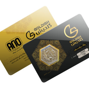 سکه پارسیان - 600 سوت